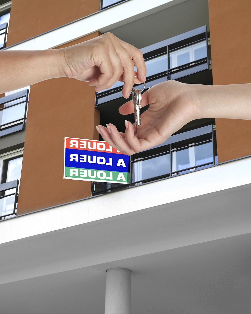 İş arayan profesyoneller bilgisayar başında kariyer planlıyor